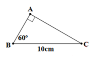 Hình minh họa Câu 4