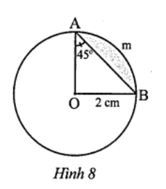 Hình minh họa Câu 8